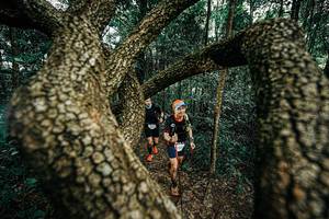 BIB: 
                            <button type="button" onclick="openModal(25393937)" class="btn btn-primary btn-sm float-right btn-popup" data-toggle="modal" data-target=".modal-high-quality">
                        <i class="fas fa-shopping-cart"></i> Add to Cart
                    </button>
                                            <button type="button" onclick="isThisMe(25393937, true)" class="btn btn-success btn-sm float-right btn-popup btn-isme hidden" data-toggle="tooltip" data-placement="bottom" title="นี่คือรูปของคุณใช่ไหม คลิกที่นี่เพื่อเอาเข้าอัลบั้ม">
                        <i class="fas fa-plus"></i> Add to album
                    </button>
                    <button type="button" onclick="isThisMe(25393937, false)" class="btn btn-warning btn-sm float-right btn-popup btn-isnotme hidden">
                        <i class="fas fa-ban"></i> Remove from album
                    </button>